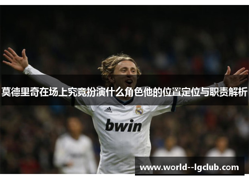 莫德里奇在场上究竟扮演什么角色他的位置定位与职责解析