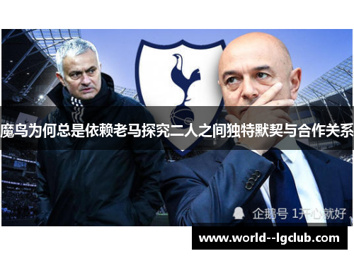 魔鸟为何总是依赖老马探究二人之间独特默契与合作关系